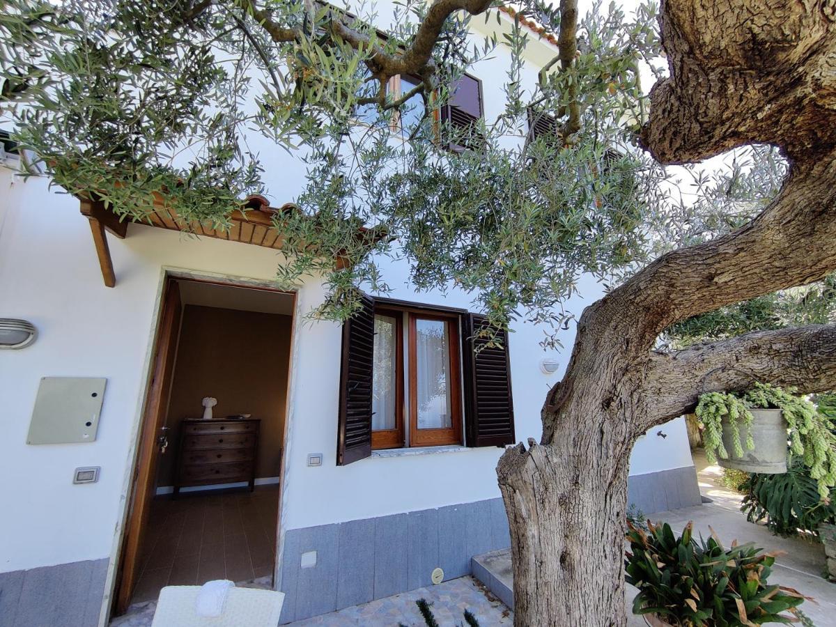 Appartement Il Nido Del Gabbiano à Massa Lubrense Extérieur photo