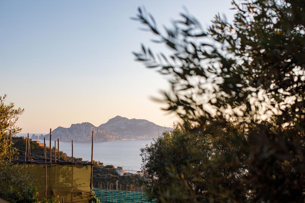 Appartement Il Nido Del Gabbiano à Massa Lubrense Extérieur photo